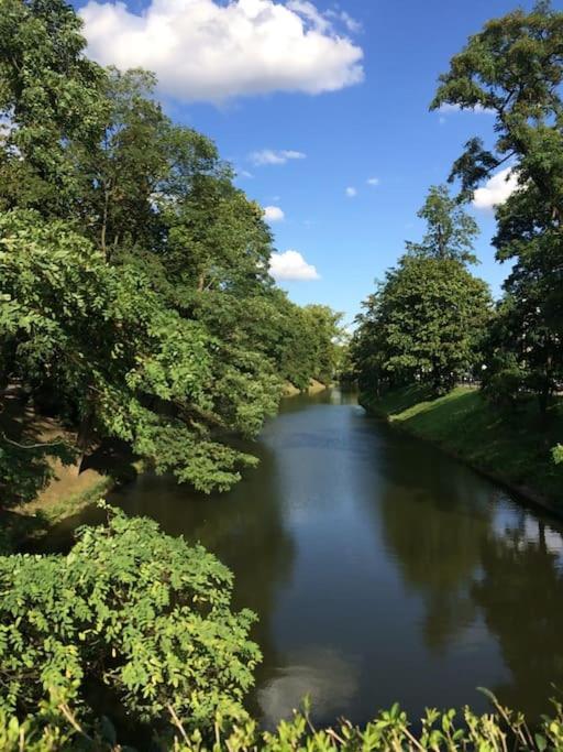 4 Pokoje - 86 M2 - 300 M Od Rynku Wroclaw Dış mekan fotoğraf