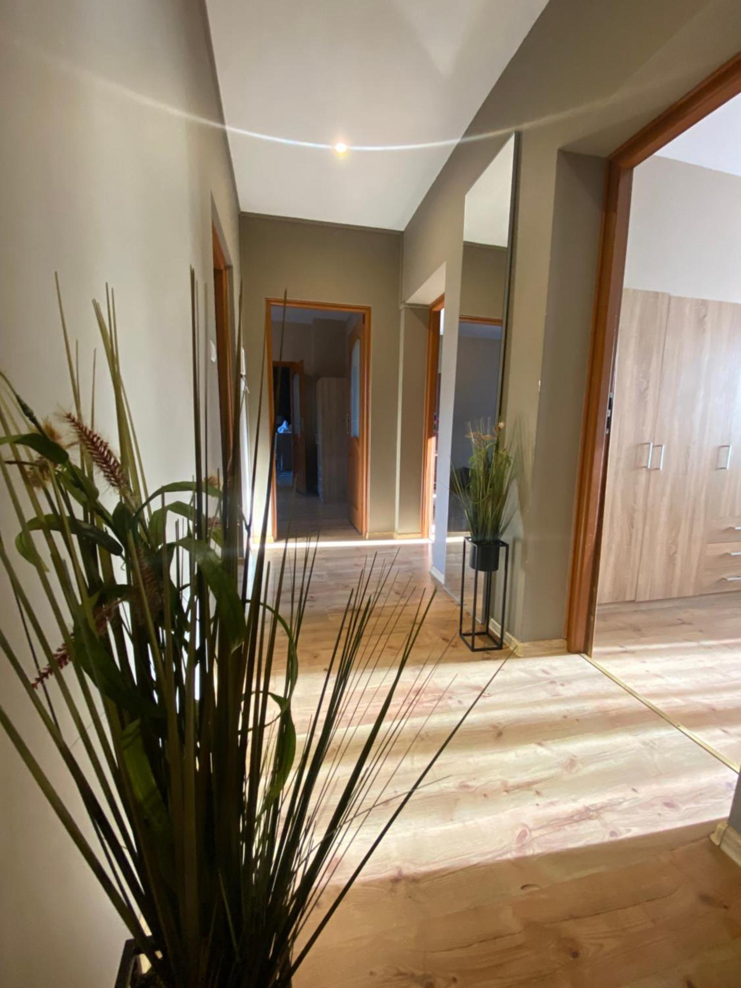 4 Pokoje - 86 M2 - 300 M Od Rynku Wroclaw Dış mekan fotoğraf